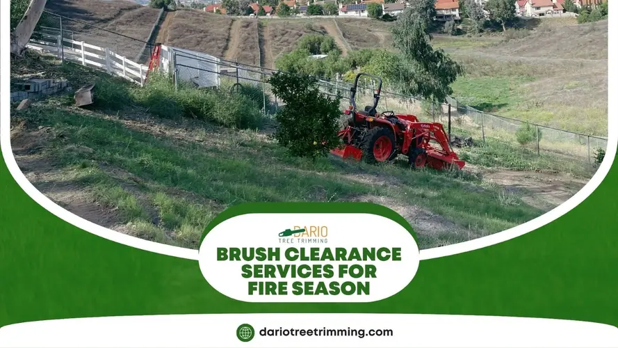 Tractor performing brush clearance on a hillside in Sylmar, CA to reduce wildfire risk
