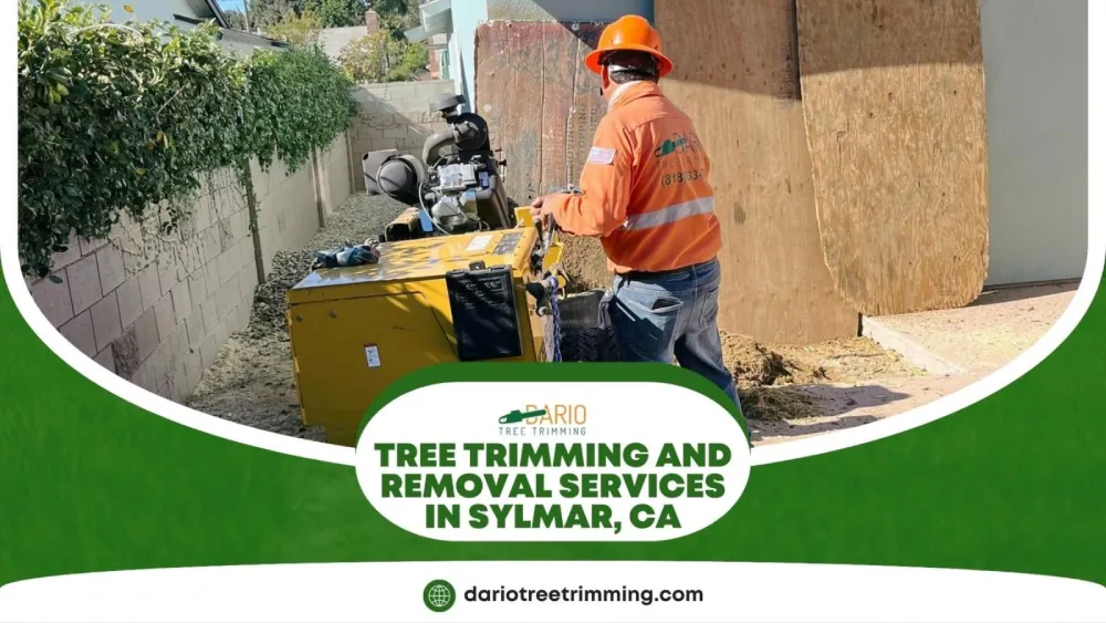 Tree trimming professional using stump grinder near a brick wall