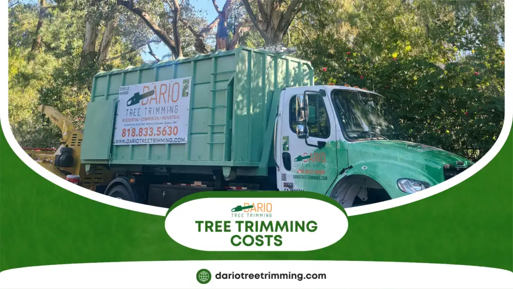 Professional tree trimming service vehicle in Sylmar, California