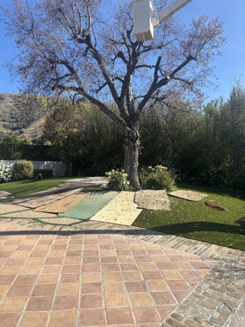 tree removal services in Sylmar