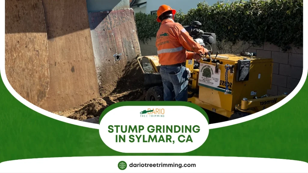 stump grinding in Sylmar