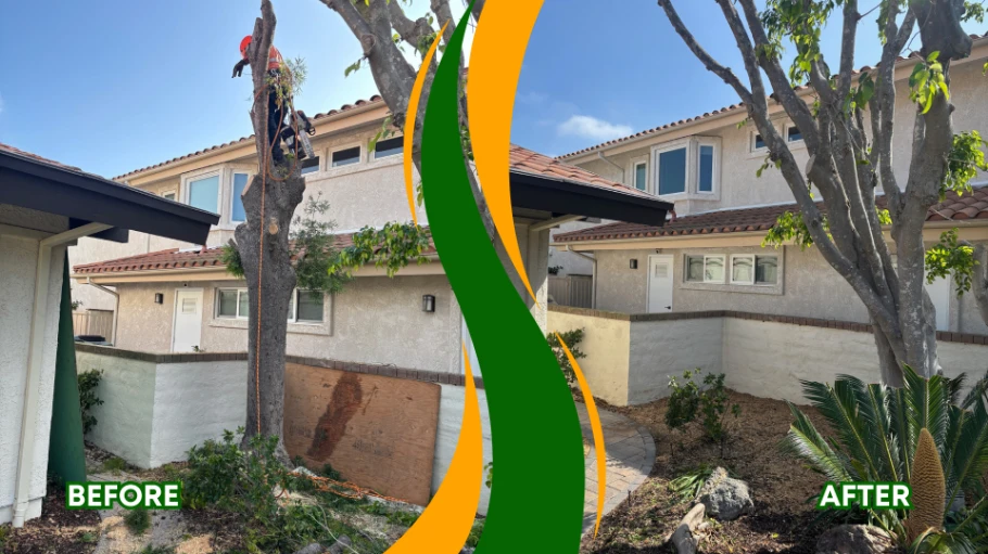 tree company in Sylmar