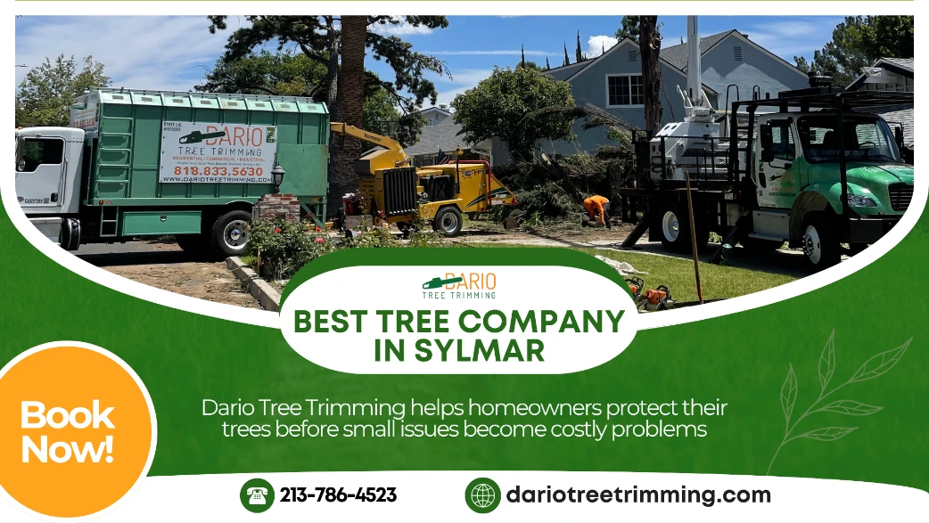 best tree company in Sylmar
