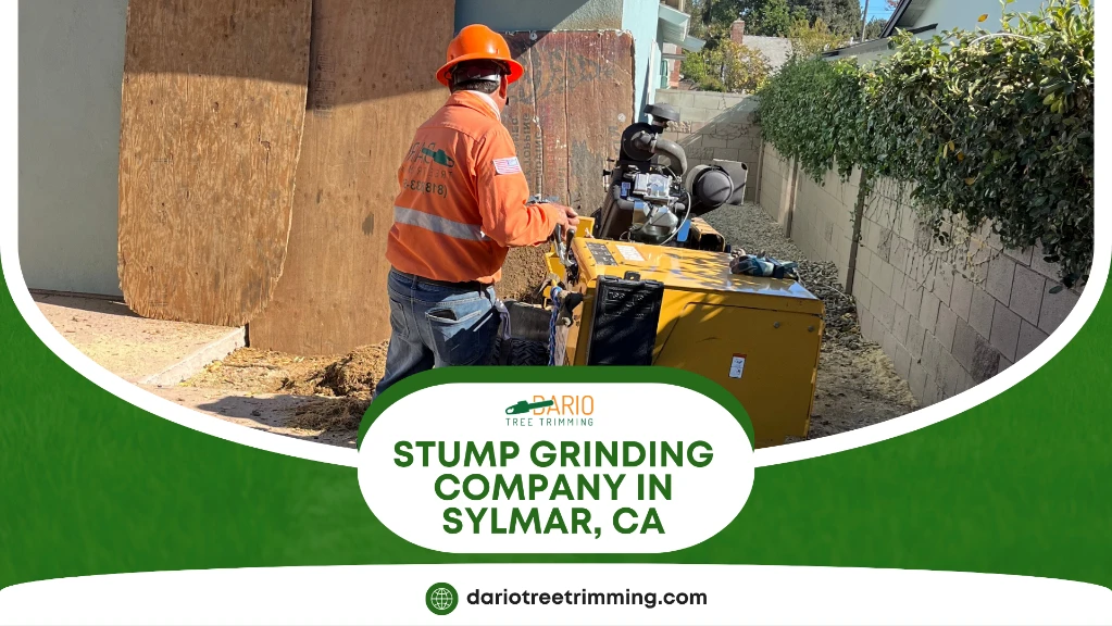 stump grinding company in Sylmar