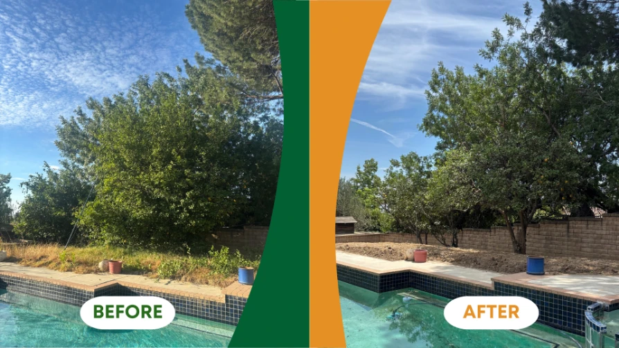 Sylmar tree company