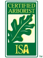 Certified Arborist Los Angeles San Fernando Valley ISA